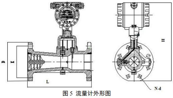 DN200旋進(jìn)旋渦流量計(jì)外形圖